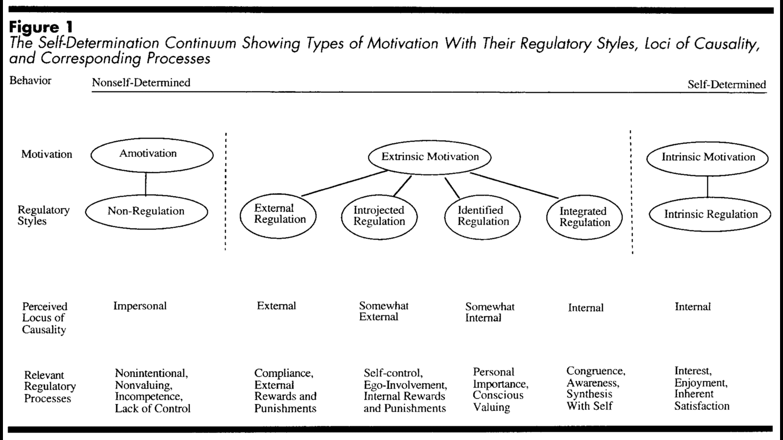 Representación esquemática del continuo de la motivación